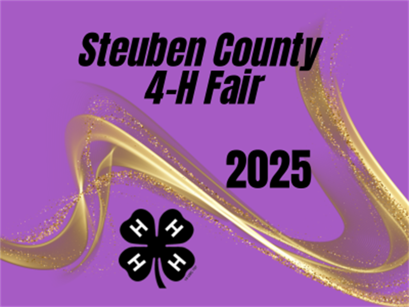 Fair Logo